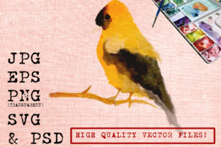 A Watercolor Bird Graphic for Sunny, Handmade Projects