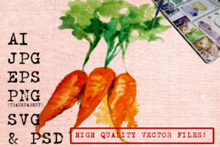 A Watercolor Carrot Graphics Illustration for Crafters