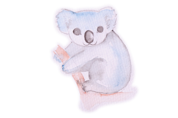 A Watercolor Koala for Crafts and Animal-Focused Content