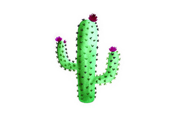 An Expert Crafter Reviews Cactus Watercolor Design Assets