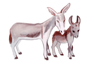 Crafting Emotional Animal Designs with Watercolor Donkeys