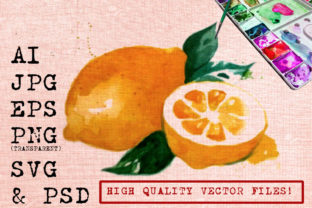 Orange Watercolor Graphics: A Designer's Practical Review