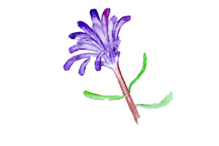 Reviewing Pixie Mops in Watercolor Embroidery