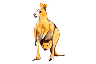 Watercolor Kangaroo Designs for Crafts and Animal Themes