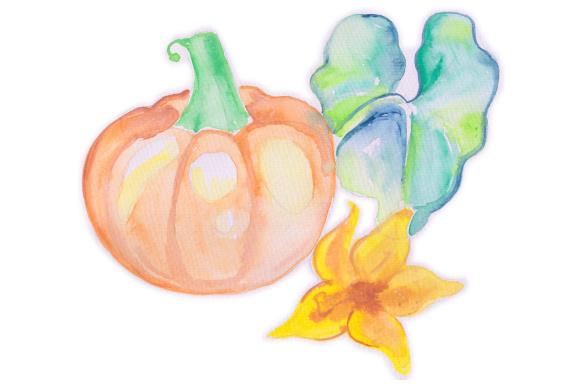 Watercolor Pumpkin for Fall Crafts & Commercial Projects